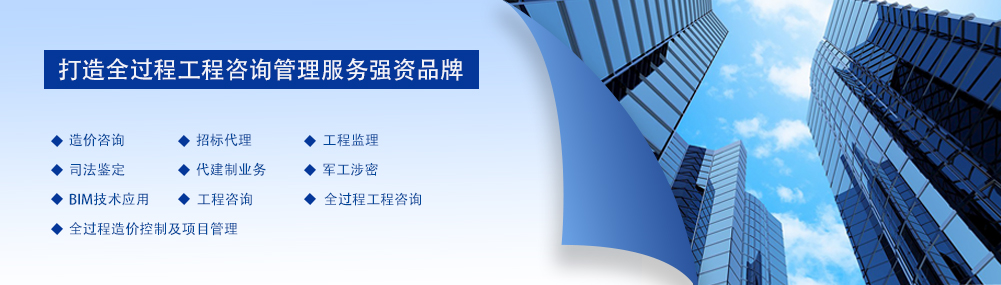 建設(shè)項目全過程管理 建設(shè)項目全過程管理